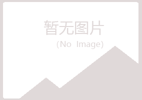 鹤岗兴山问旋服务有限公司